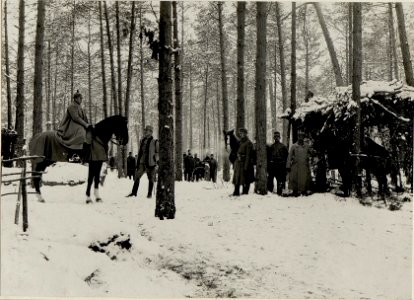 Deutscher Garda Art.Offizier meldet sich als Art.Beobachter im österr. Abschnitt des I.R.84. (BildID 15539740)