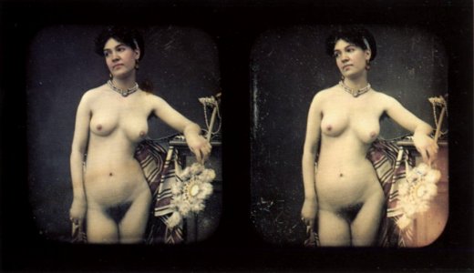 Deutscher Photograph um 1855 - Akt-Stereodaguerreotypien (18) (Zeno Fotografie)