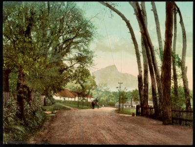 Devil's Peak, from Waterloo Green, Wynberg LCCN2017657658