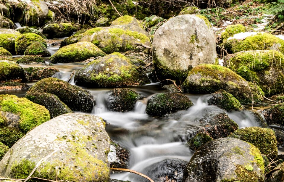 Moss rock stone