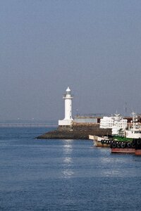Sea light wolmido