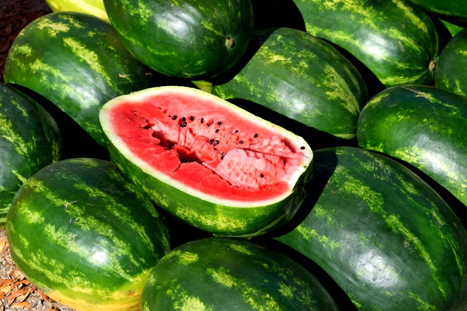 Fruit freshness watermelon