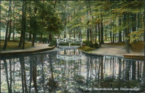 Dianenspiegel im Düsternbrooker Gehölz (Kiel 27.853)