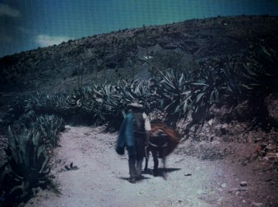 DIAPO-053 012