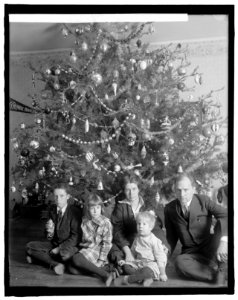 Dickey tree, 1914 LCCN2016852738