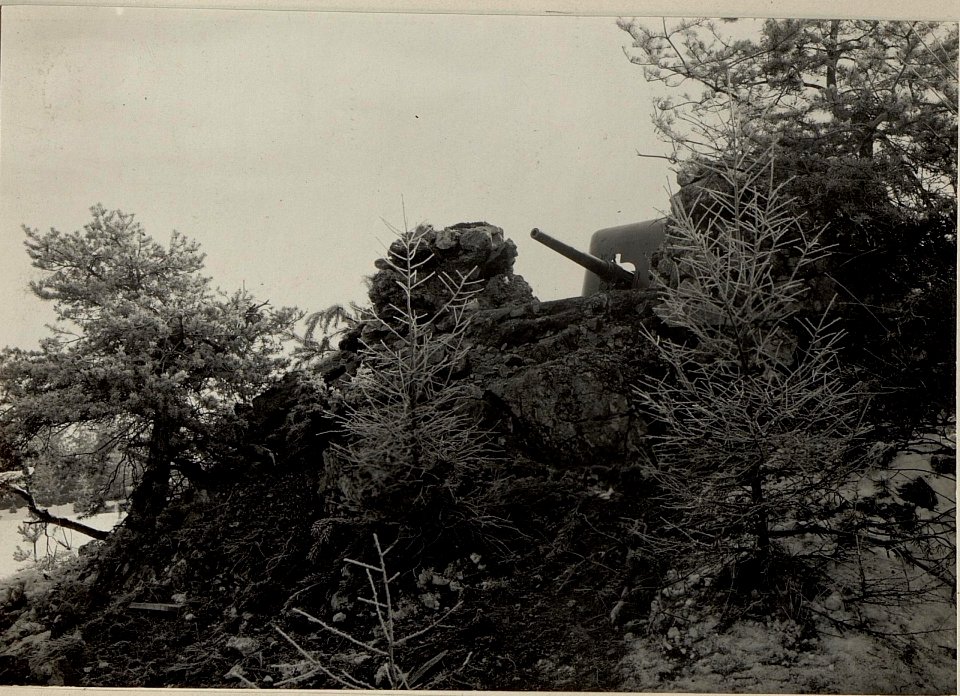 Die 47 mm L-44 Marinekanone eingebaut nächst der Schießstätte in Villach. (BildID 15469054)