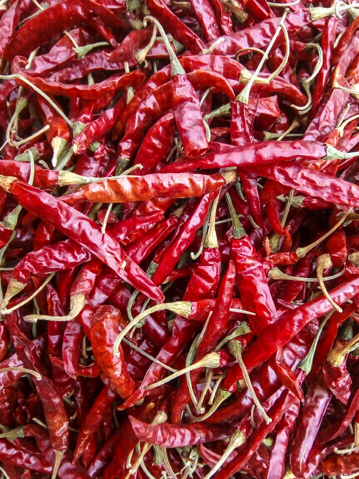 Spices food condiment