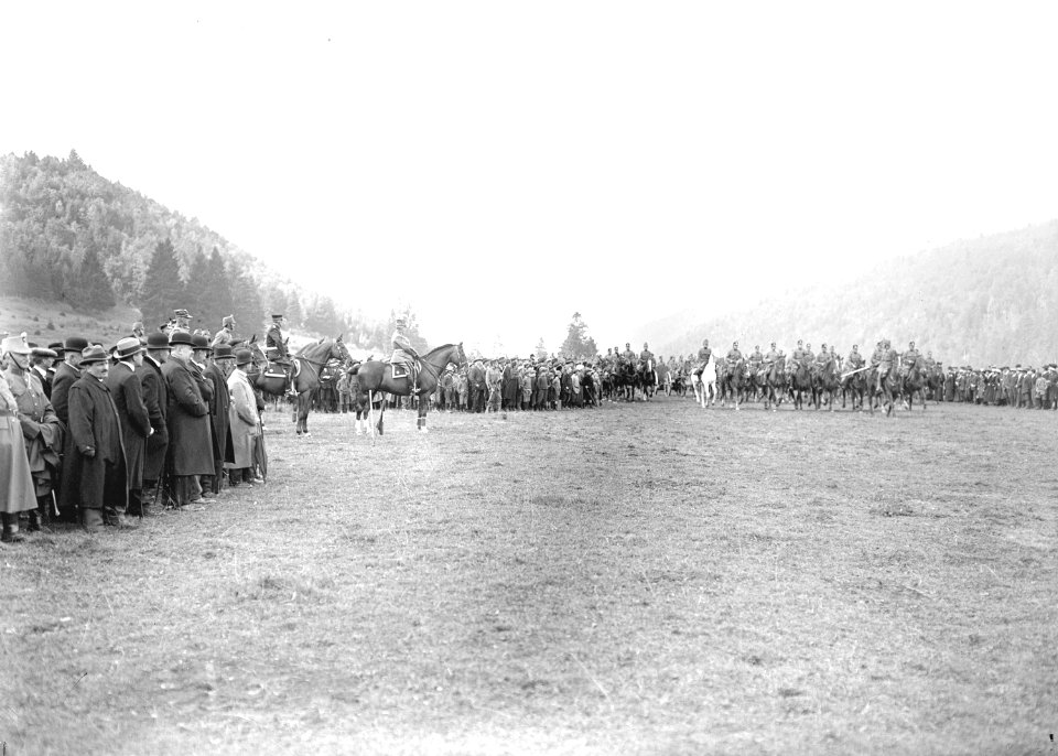Die Artillerie beim Defilee vor dem General und den Behördenvertretern - CH-BAR - 3240063