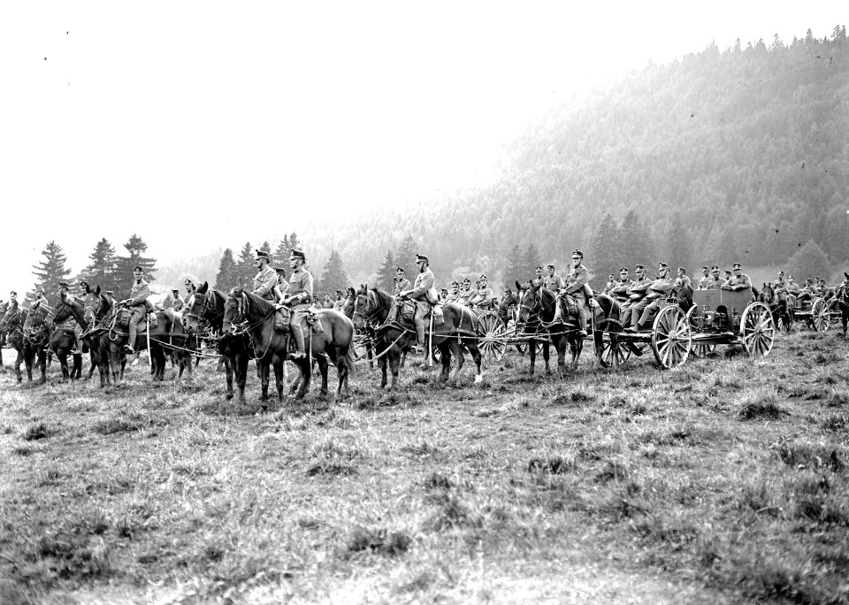 Die Artillerie im Warteraum nach dem Defilee - CH-BAR - 3240068