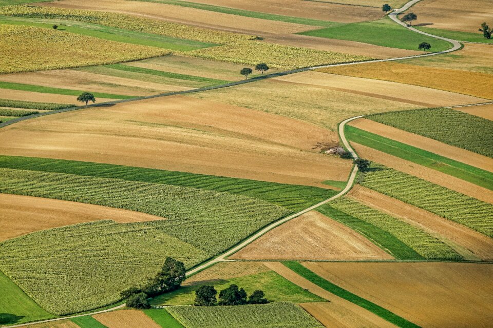 Arable land nature landscape