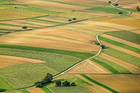 Arable land nature landscape