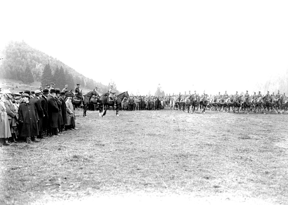 Die Artillerie beim Defilee vor dem General und den Behördenvertretern - CH-BAR - 3240064
