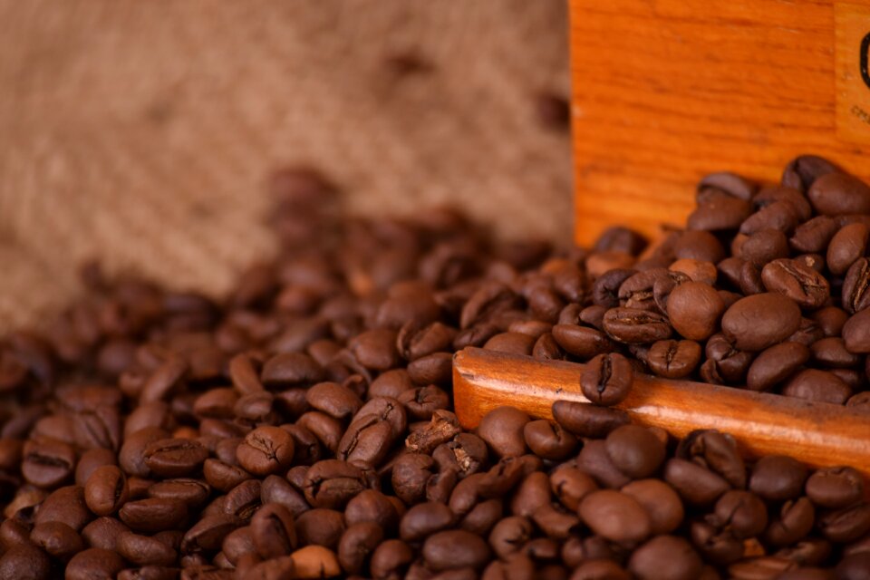 Bean drink espresso