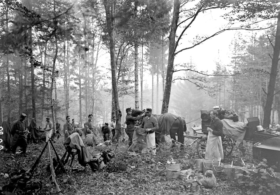 Die Feldküche im Wald - CH-BAR - 3239114