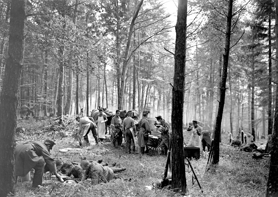 Die Feldküche im Wald - CH-BAR - 3239112