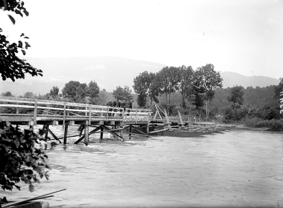 Die fertige Kombination aus Pfahljoch- und Scheertaubrücke über die Aare - CH-BAR - 3240760