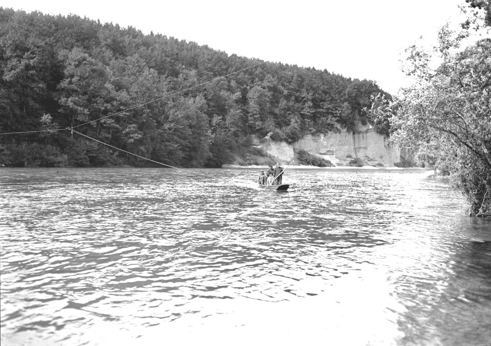 Die Fähre im Einsatz auf der Aare - CH-BAR - 3240048