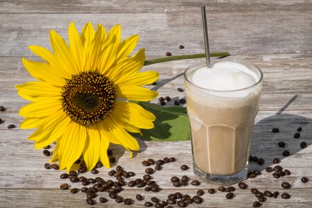 Benefit from cold ice