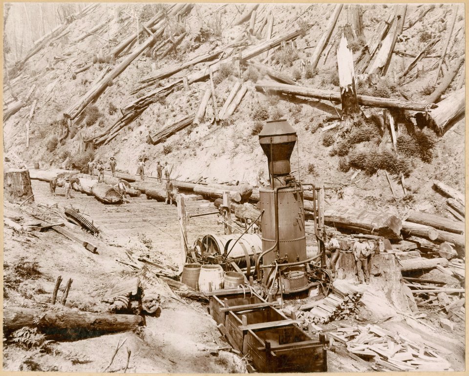 Donkey engine and skid road