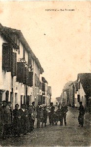 Donzacq (Landes) - Grande rue 2