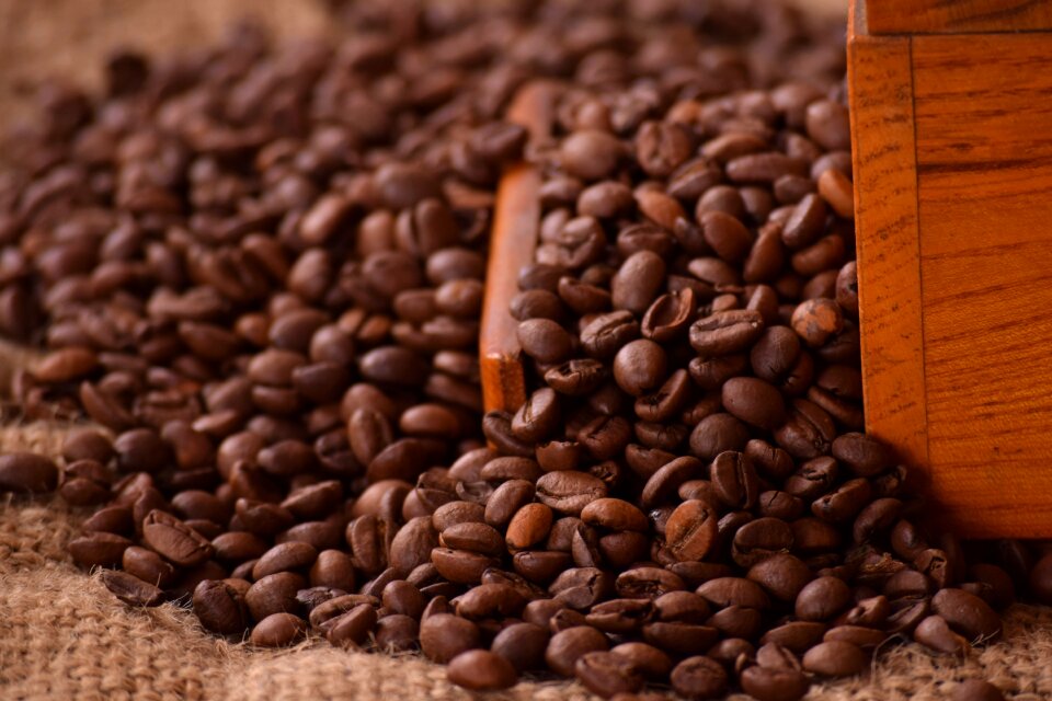Bean drink espresso