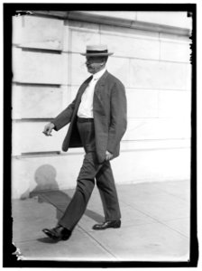 DOREMUS, FRANK ELLSWORTH. REP. FROM MICHIGAN, 1911-1921 LCCN2016864815