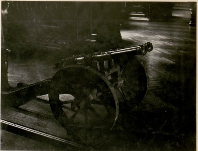 Doppelläufige Kanone (BildID 15512826)