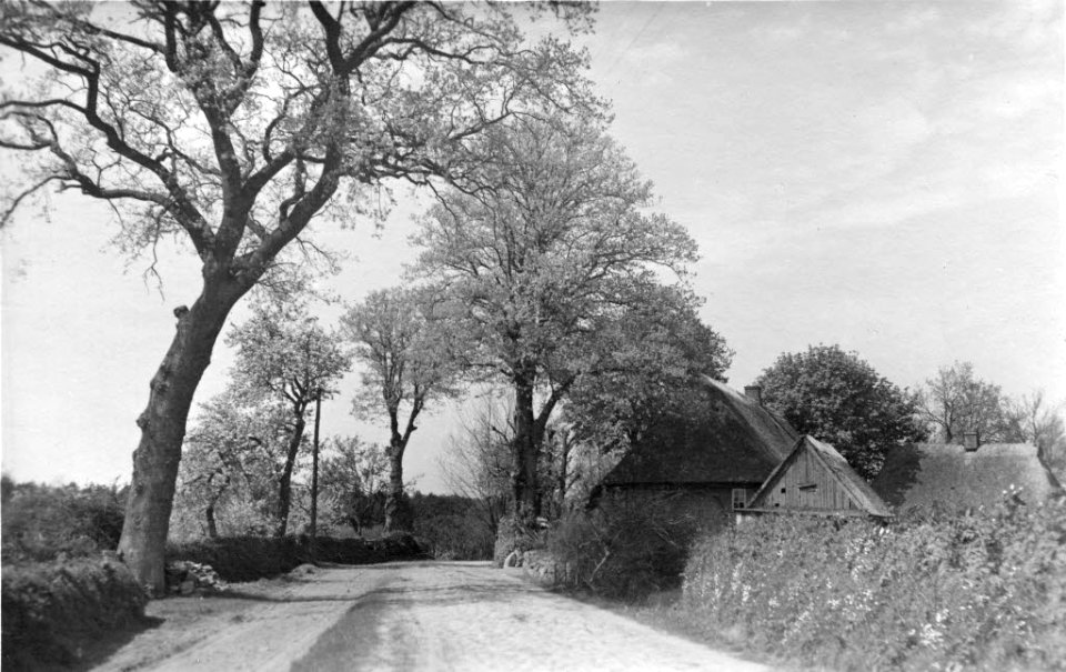 Dorfstraße in Rodenbek (Kiel 54.326)