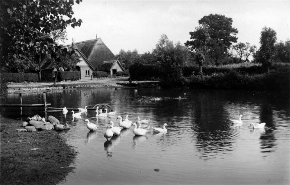Dorfteich in Prasdorf bei Probsteierhagen (Kiel 54.313)