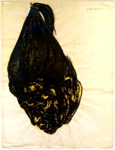 Dorignac tete aux cheveux tires