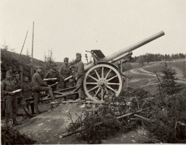 Dorna Watra, Langrohr Batt.beim Abschuss (BildID 15719252)