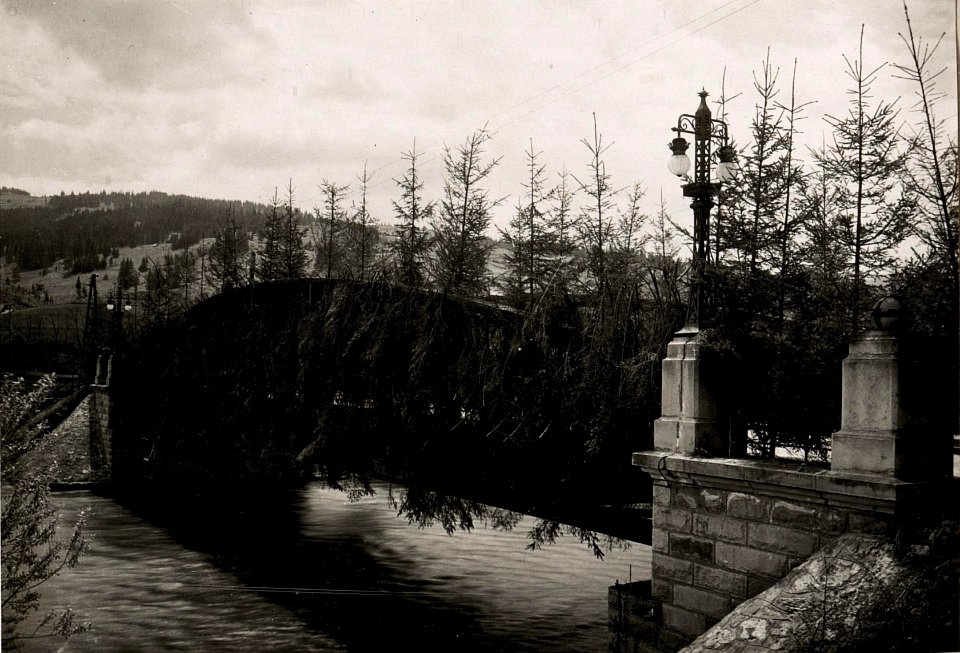 Dorna Watra maskierte Brücke (BildID 15719196)
