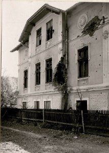 Dorna Watra, Volltreffer (BildID 15719210)