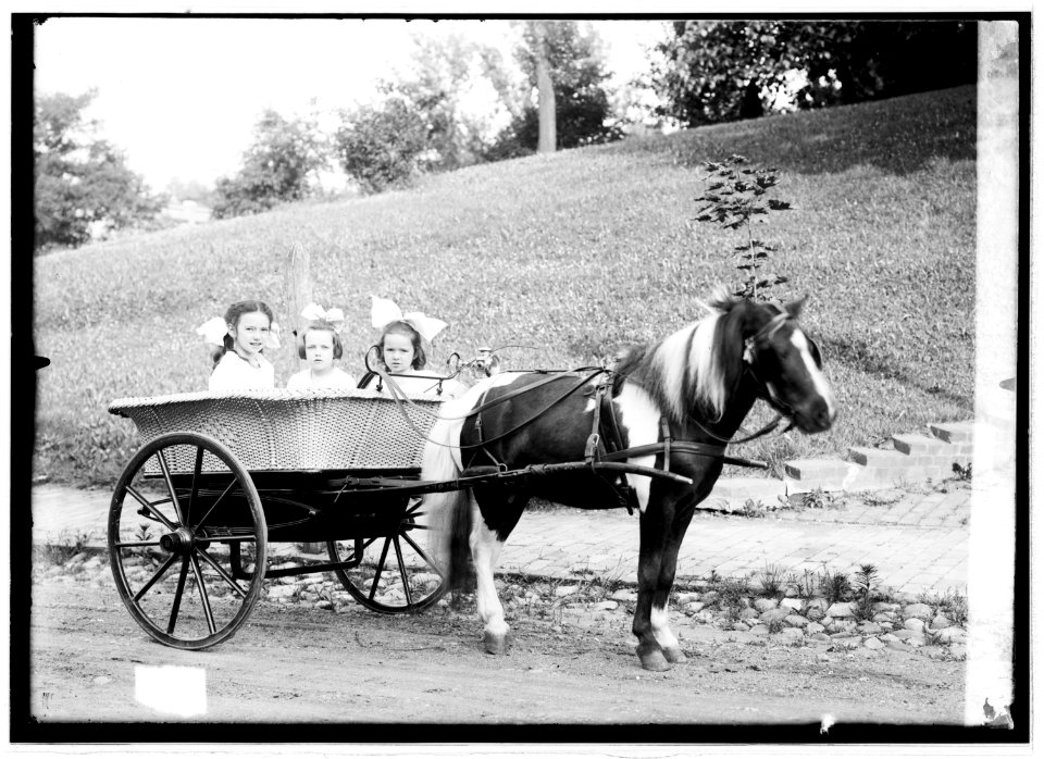 Dorothy in Lindsay's pony cab LCCN2016820761