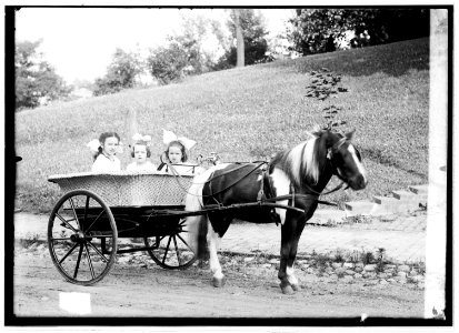 Dorothy in Lindsay's pony cab LCCN2016820761