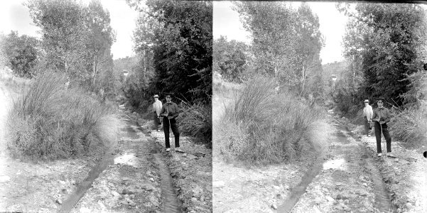 Dos homes (Antoni , i Sr . Anglada) en un camí voltat de vegetació