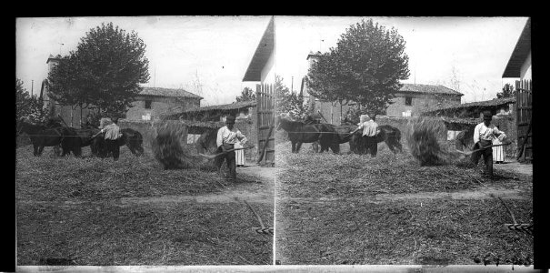 Dos homes batent el blat i cavalls (AFCEC BORDAS X 664)