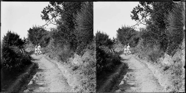 Dos nens al camí de Vallcarca a Sant Genís voltat de vegetació