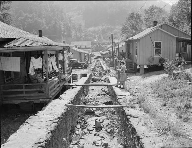 Double row houses, garbage and trash are disposed of in this meager stream of water, there is a well and pump at each... - NARA - 540988