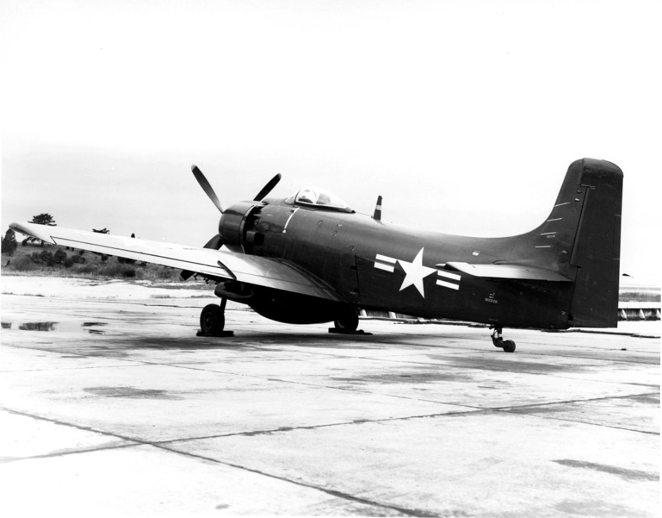 Douglas AD-2W Skyraider aft view