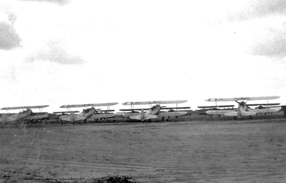 Douglas Army Airfield - PT-17 Stearmans on Parking Ramp (Rear View)