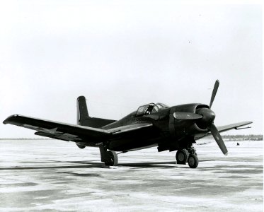 Douglas BTD-1 Destroyer c1945