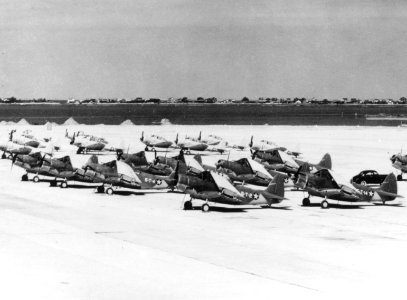 Douglas TBD-1 Devastators of VT-5 at Naval Air Station Norfolk, Virginia (USA), 13 September 1941 (80-CF-55215-7)