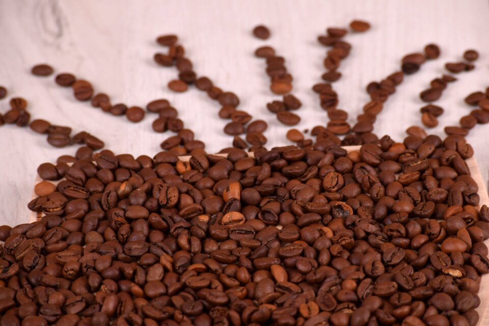 Bean drink espresso