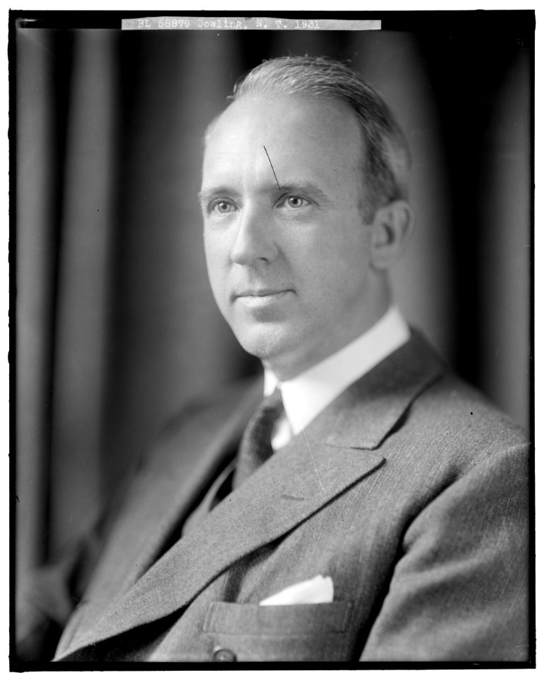 DOWLING, N.T. LCCN2016860355