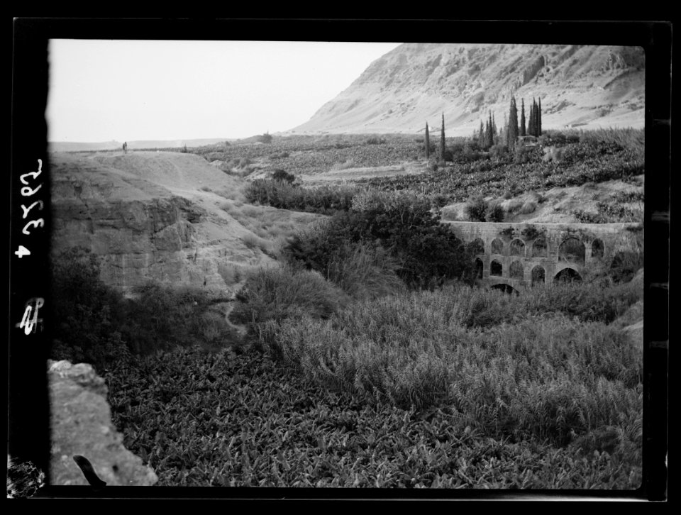 Down the Jordan Valley from the Sea of Galilee to the Dead Sea. Ain Duke. Ancient viaduct and banana plantations north of Jericho LOC matpc.15260