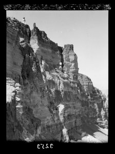 Down the Jordan Valley from the Sea of Galilee to the Dead Sea. Banks of the Jordan showing great marl cliffs LOC matpc.15252