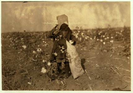 Dovey Kirkpatrick, 5 years old, picks 15 pounds of cotton a day (average) Mother said- 'She jess works fer pleasure.' See photos 4555 to 4557. LOC cph.3a20268