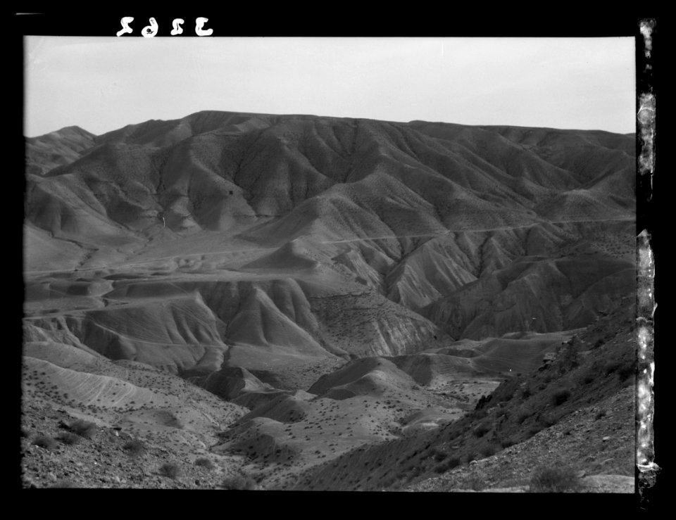 Down the Jordan Valley from the Sea of Galilee to the Dead Sea. The wilderness along Jericho Road. Typical eroded Judean hills (Jordan) LOC matpc.15258