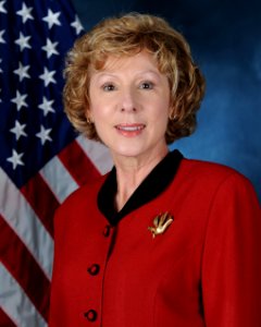 Dr Janet Sue Fender